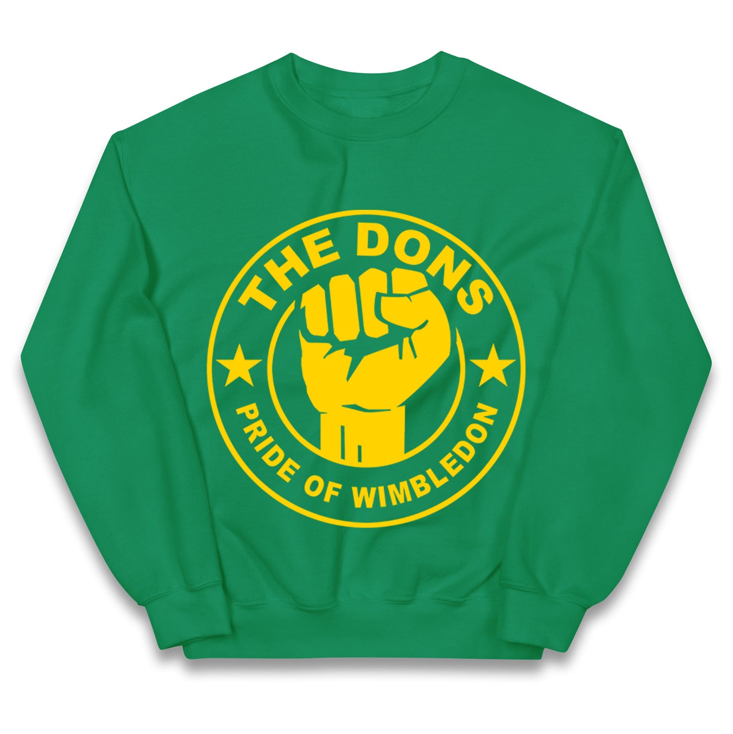 AFC Wimbledon Football Kids Jumper