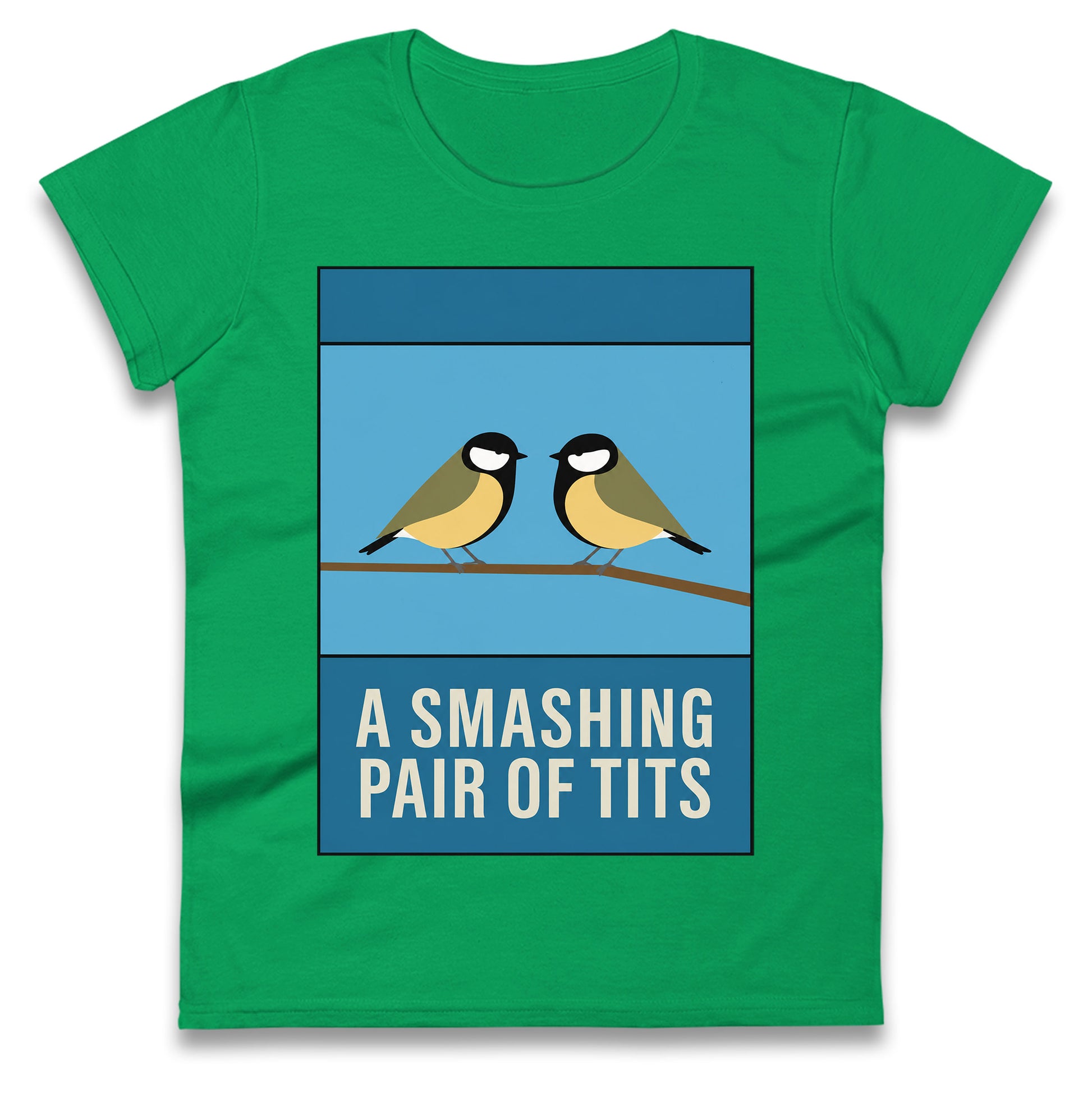 A Smashing Pair Of Tits Ladies T Shirt