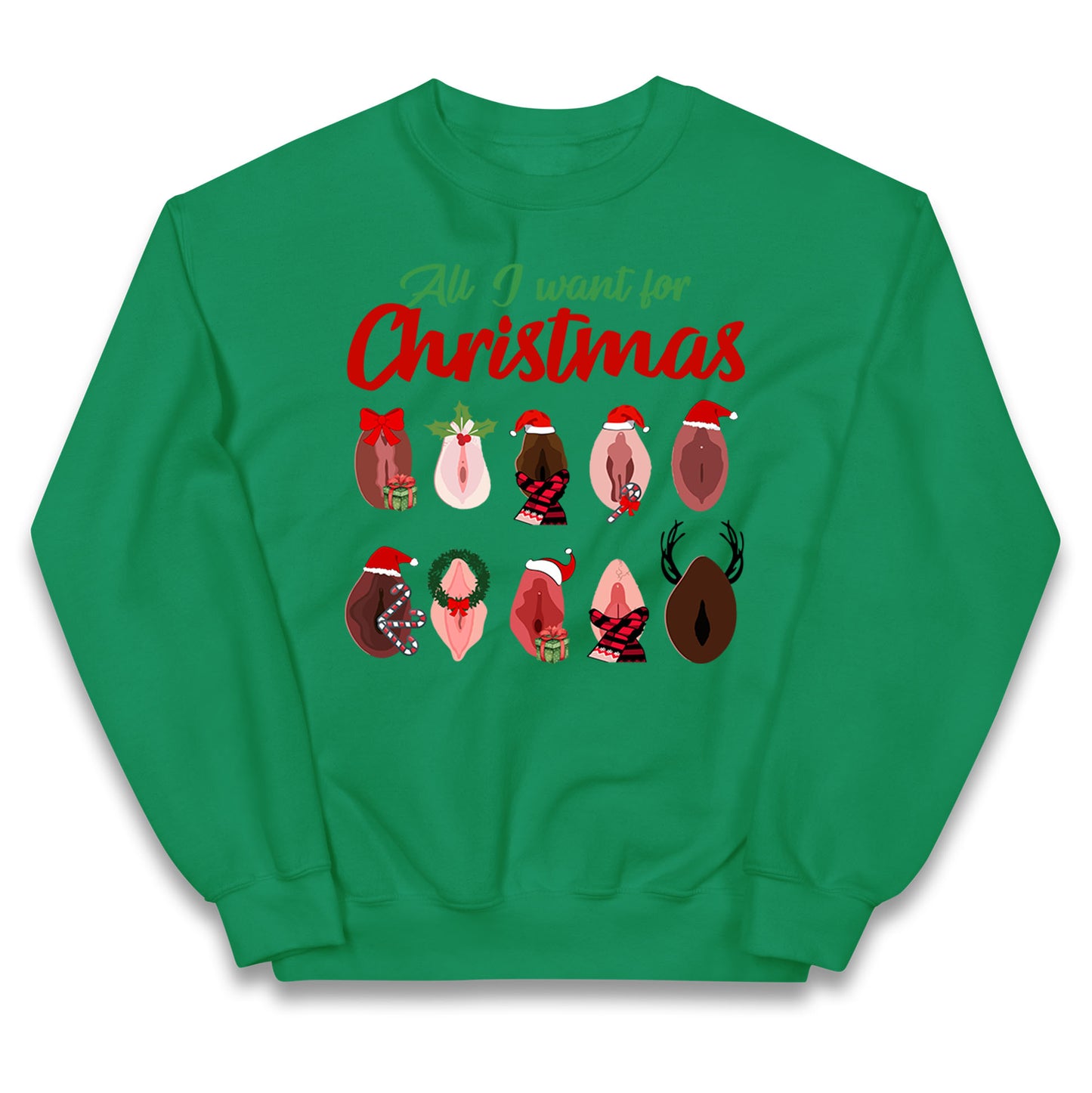 All I Want For Christmas Vagina Funny Jumper