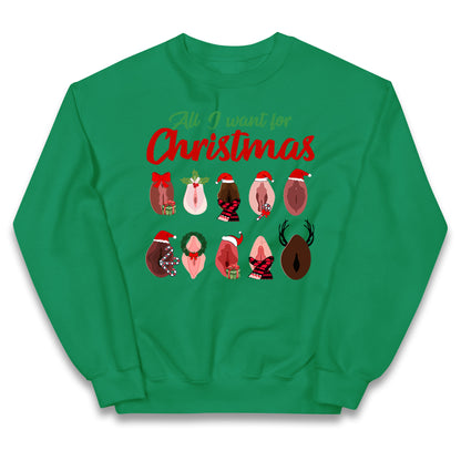 All I Want For Christmas Vagina Funny Jumper