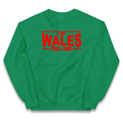 I'm Wales Till I Die Kids Jumper