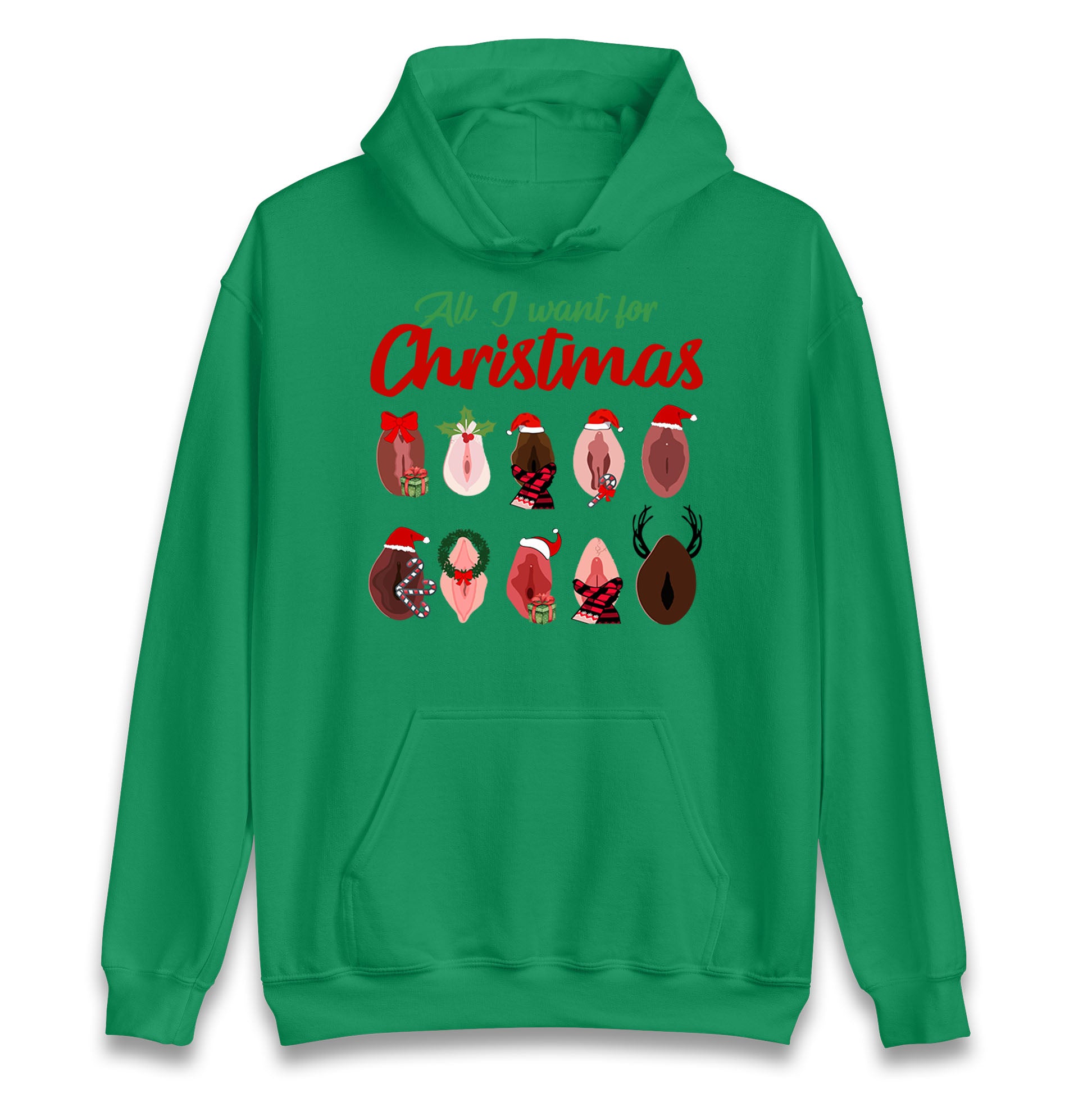 All I Want For Christmas Vagina Funny Hoodie