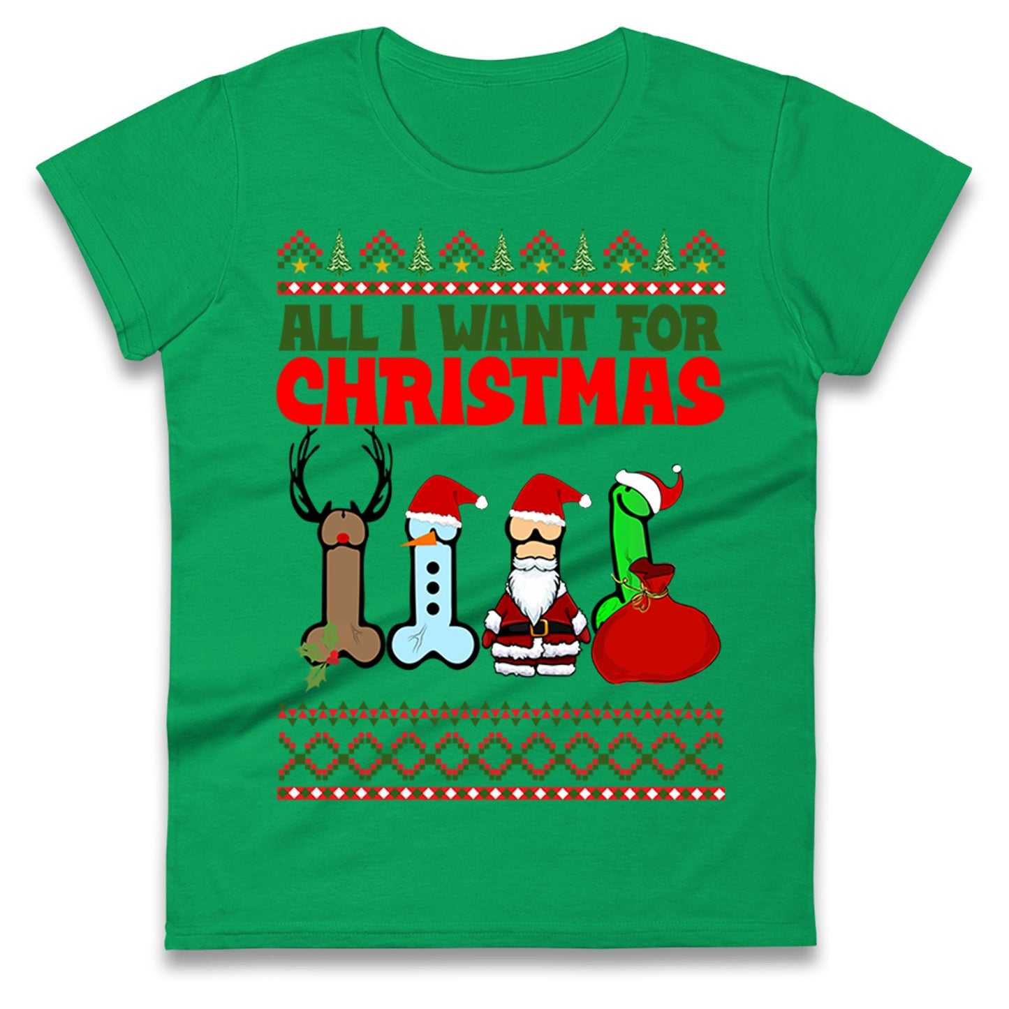 All I Want For Christmas Funny T Shirt