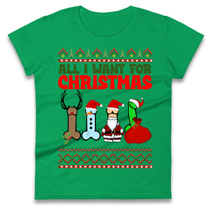All I Want For Christmas Funny T Shirt