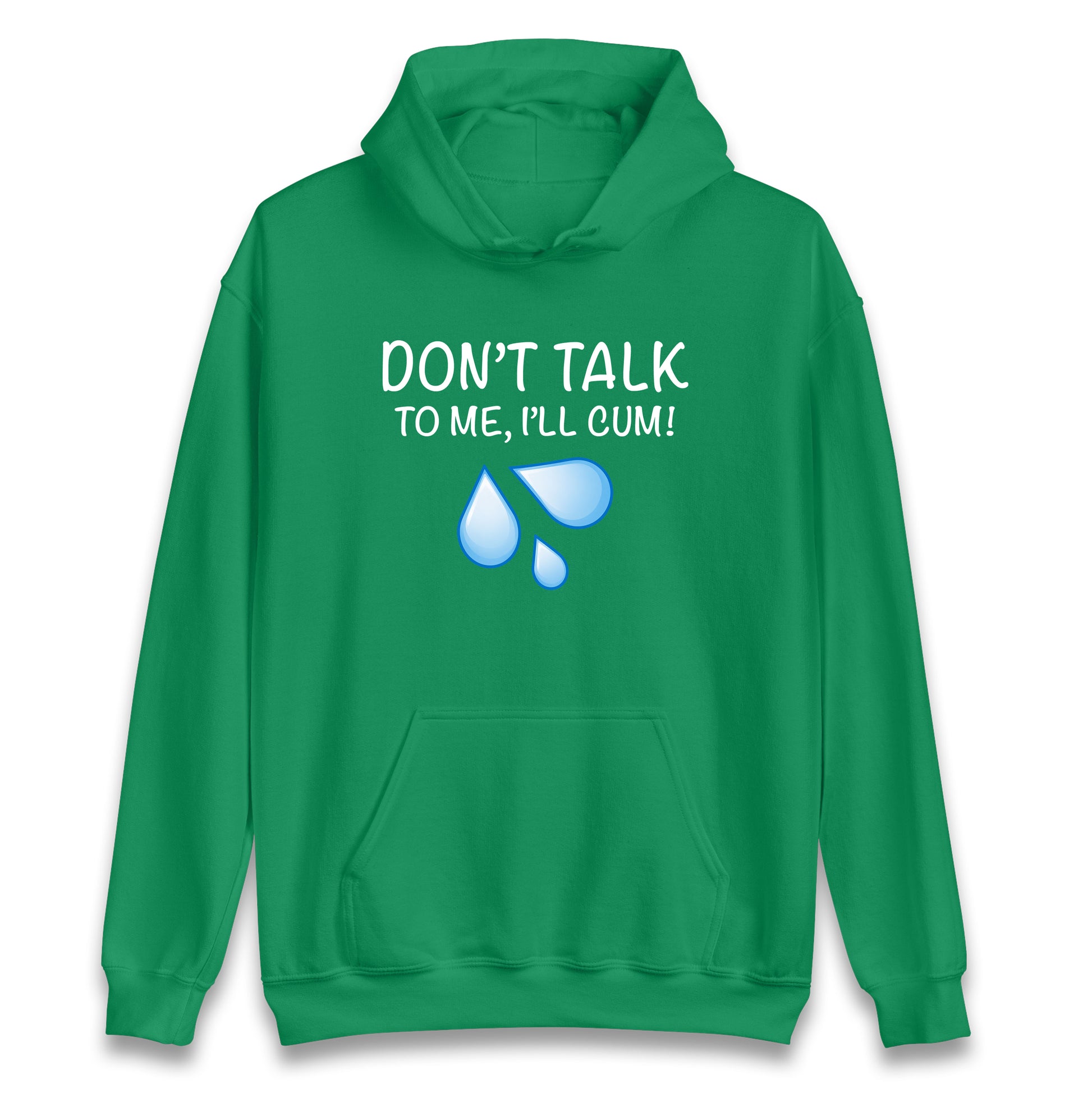 Don't Talk To Me I'll Cum Hoodie