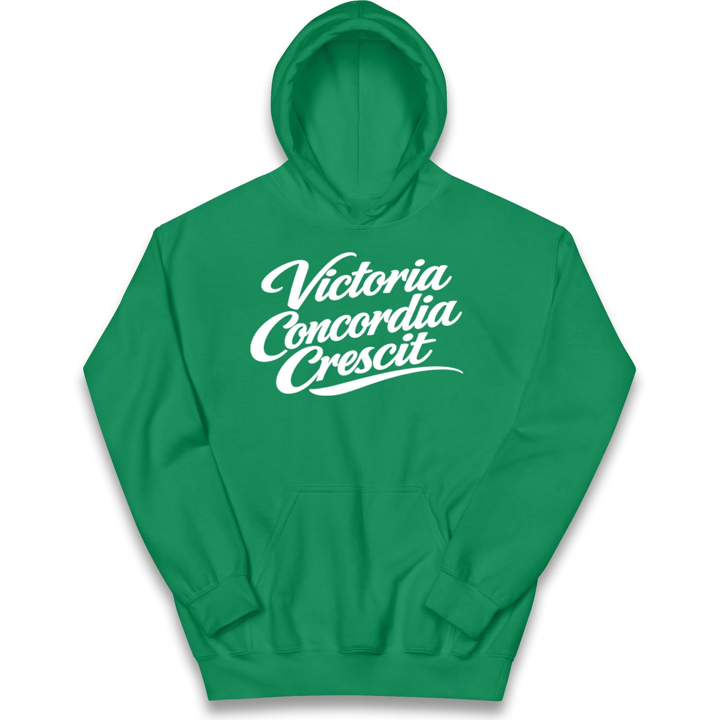 Arsenal Motto Kids Hoodie