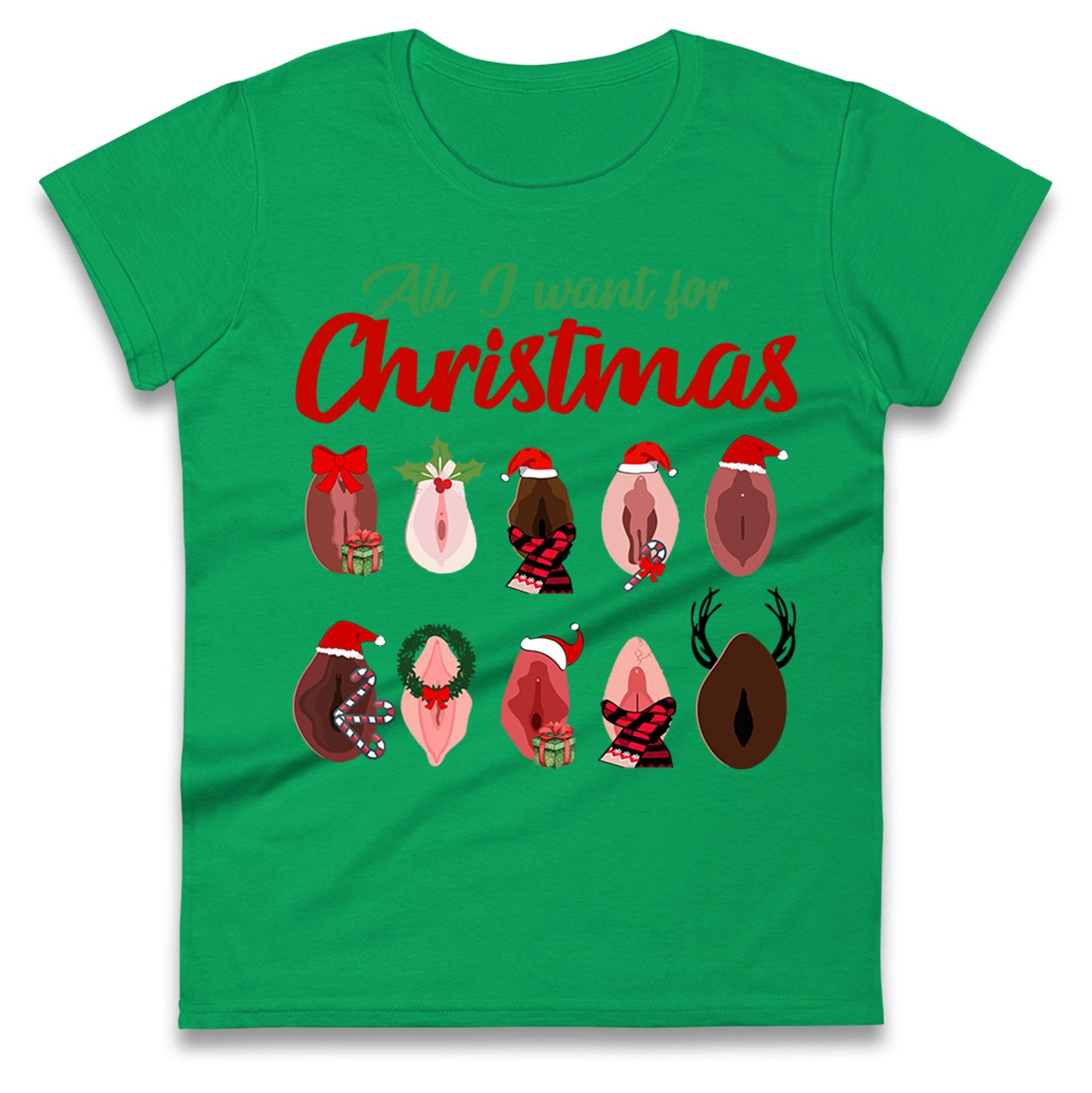 All I Want For Christmas Vagina Funny T Shirt