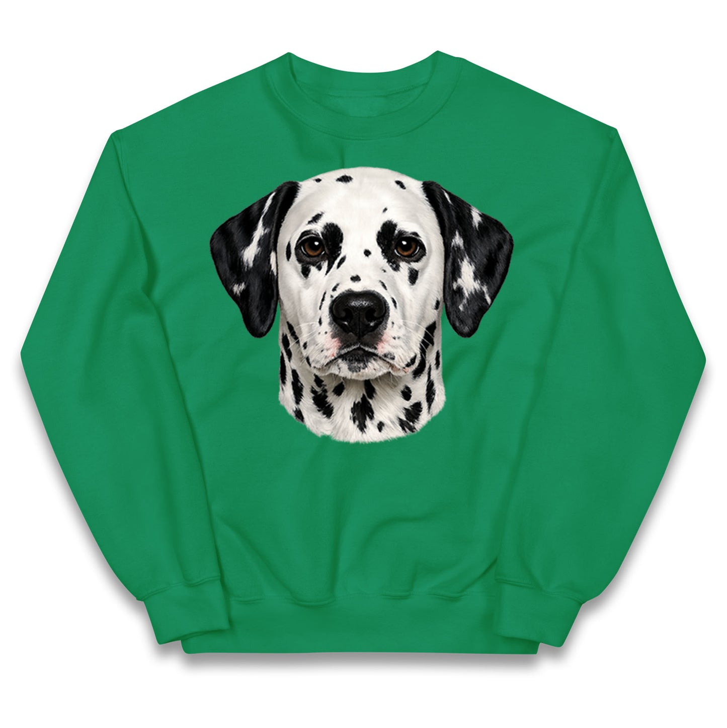 Dalmatian Dog Face Kids Jumper