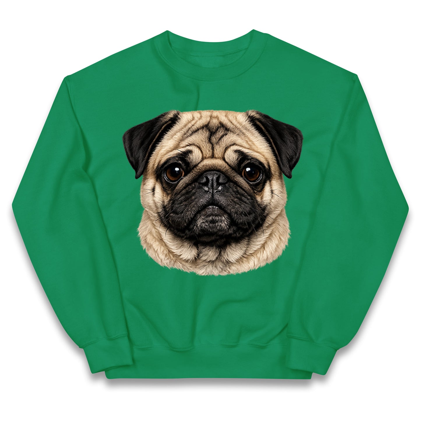 Pug Dog Face Kids Jumper