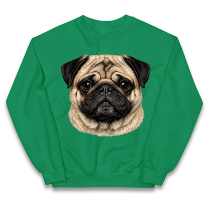 Pug Dog Face Kids Jumper