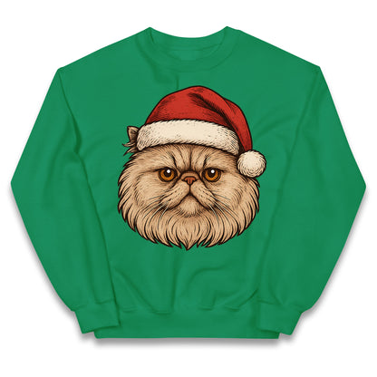Persian Cat Christmas Kids Jumper