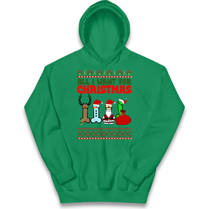 All I Want For Christmas Funny Hoodie