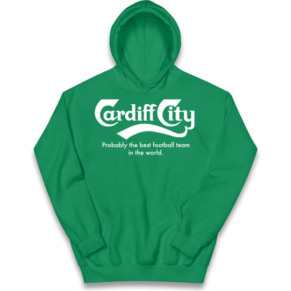 Cardiff City FC Football Kids Hoodie
