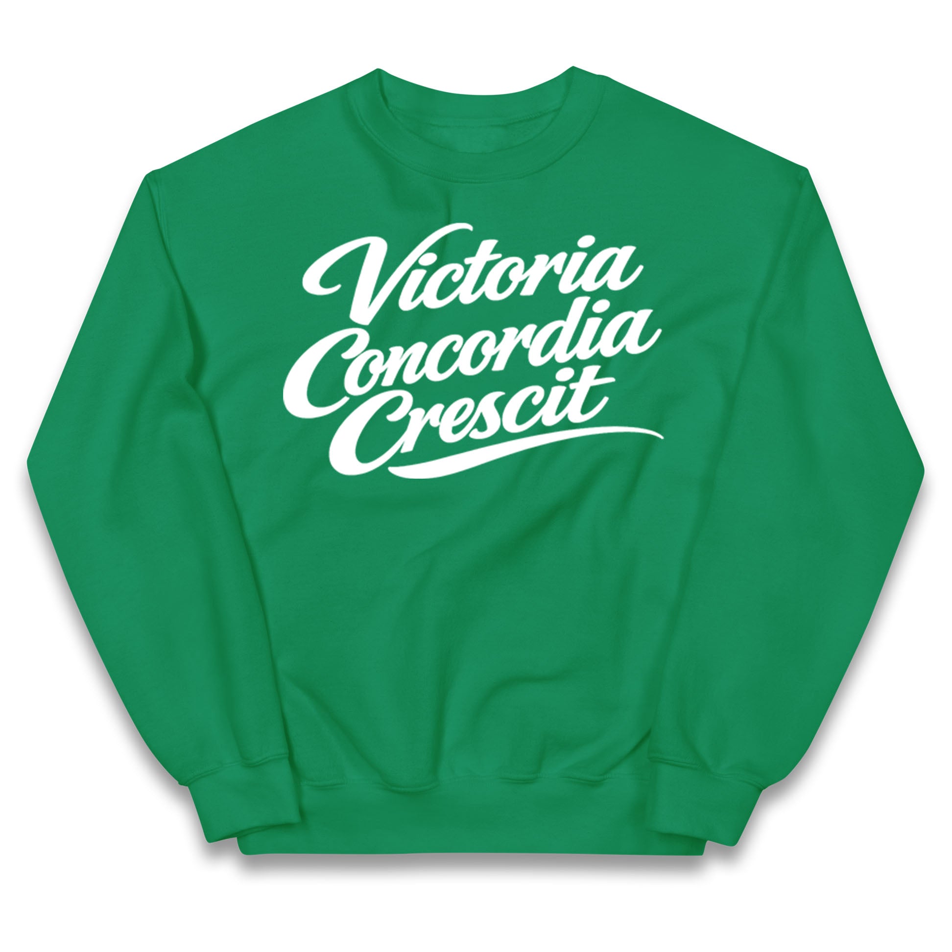 Arsenal Motto Kids Jumper