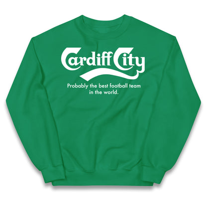 Cardiff City FC Football Kids Jumper