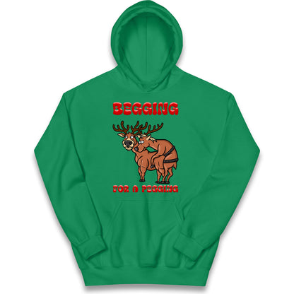 Deer Christmas Kids Hoodie