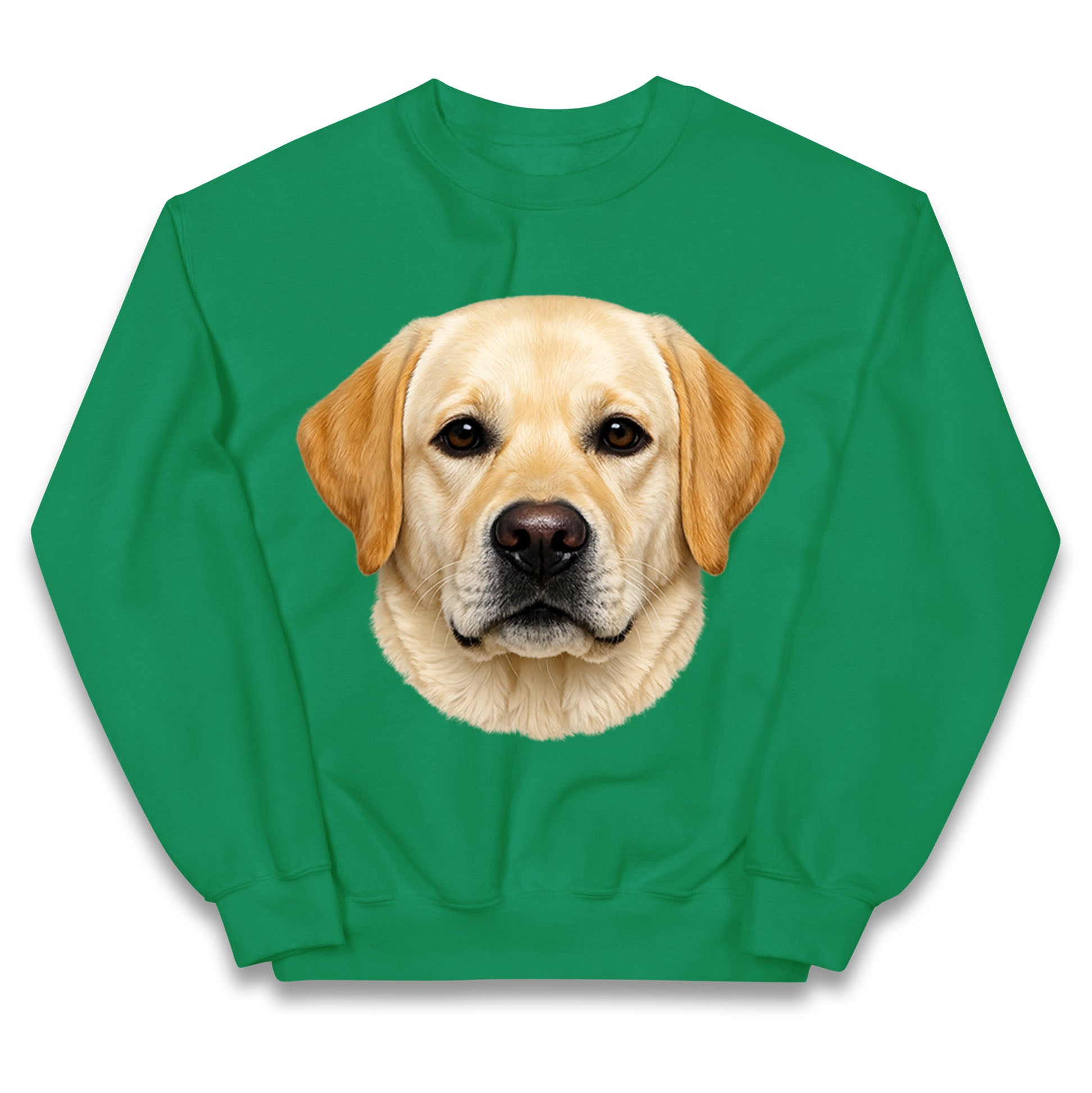 Labrador Dog Face Kids Jumper