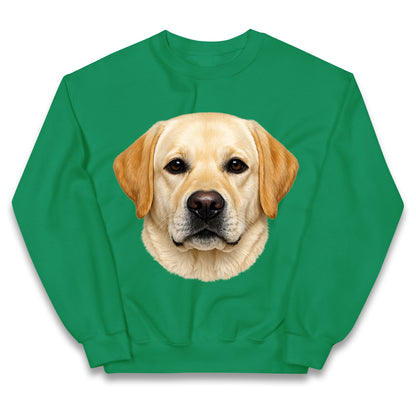 Labrador Dog Face Kids Jumper