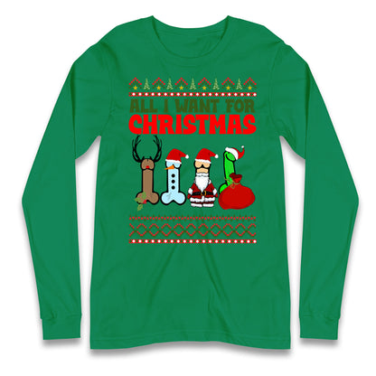 All I Want For Christmas Funny T Shirt