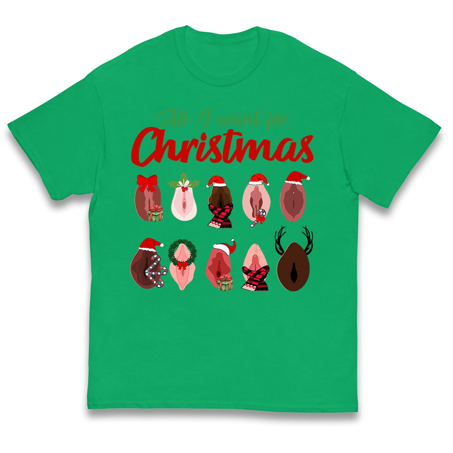All I Want For Christmas Vagina Funny T Shirt