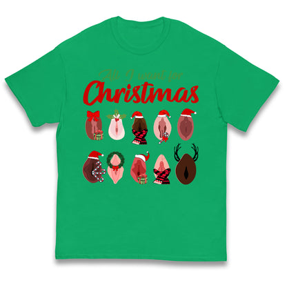 All I Want For Christmas Vagina Funny T Shirt