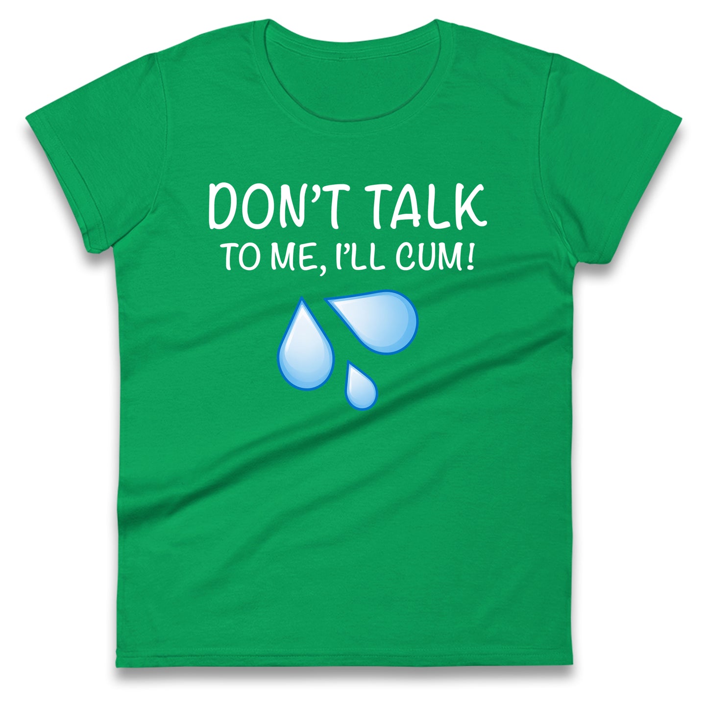 Don't Talk To Me I'll Cum Ladies T Shirt