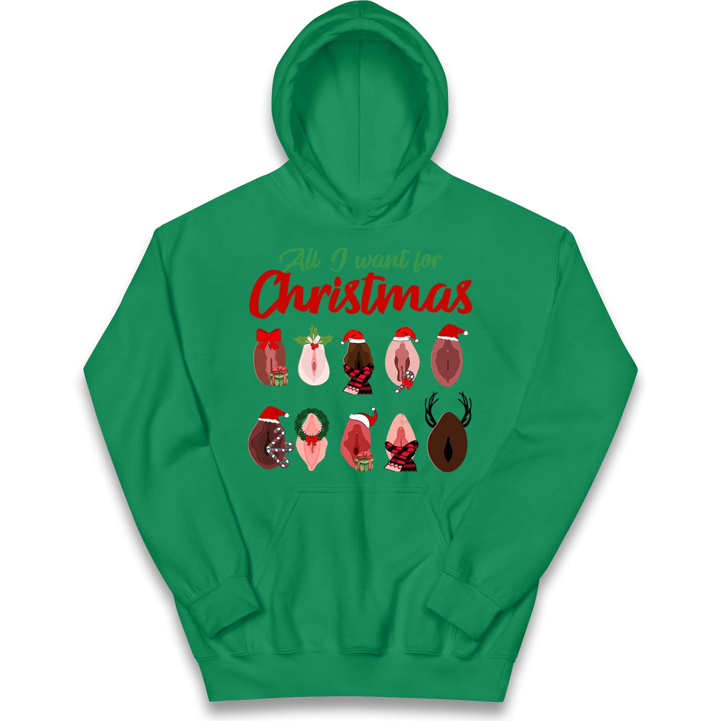 All I Want For Christmas Vagina Funny Hoodie