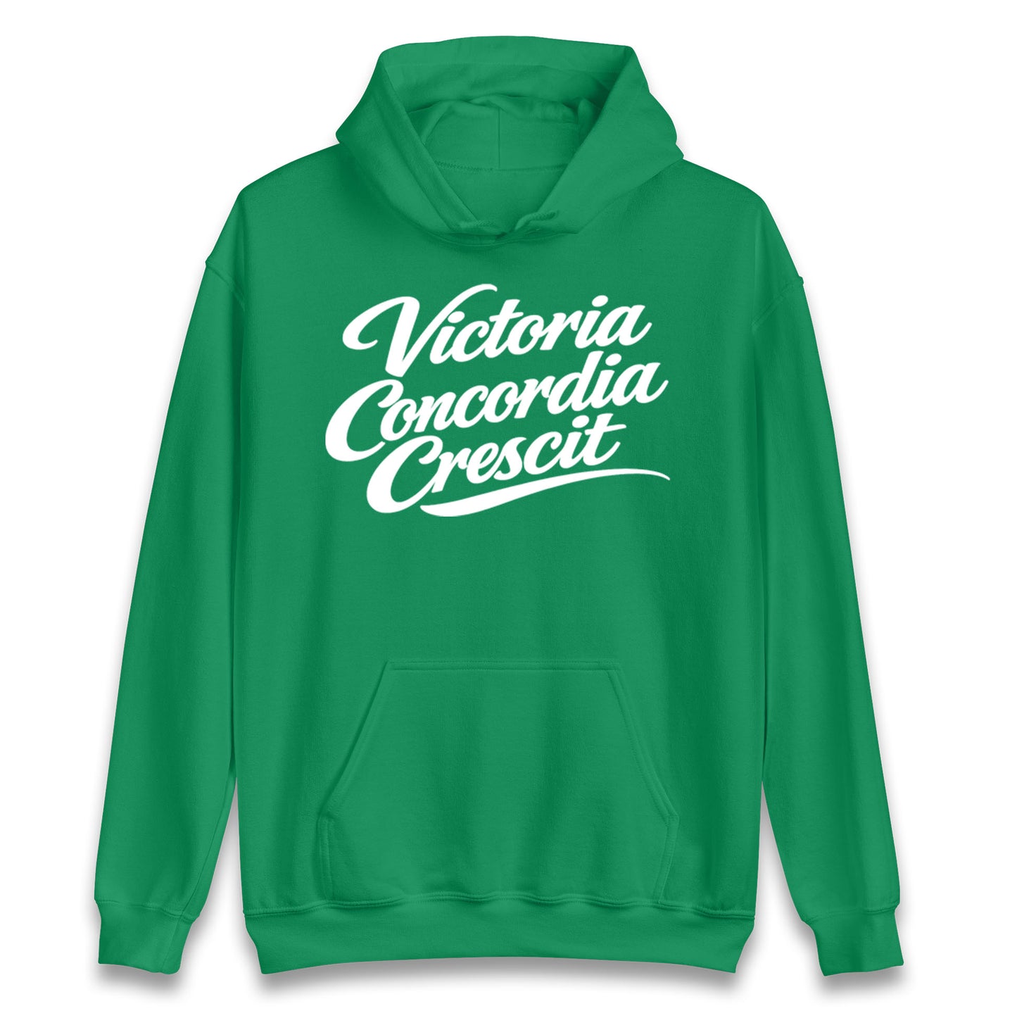 Arsenal Motto Hoodie