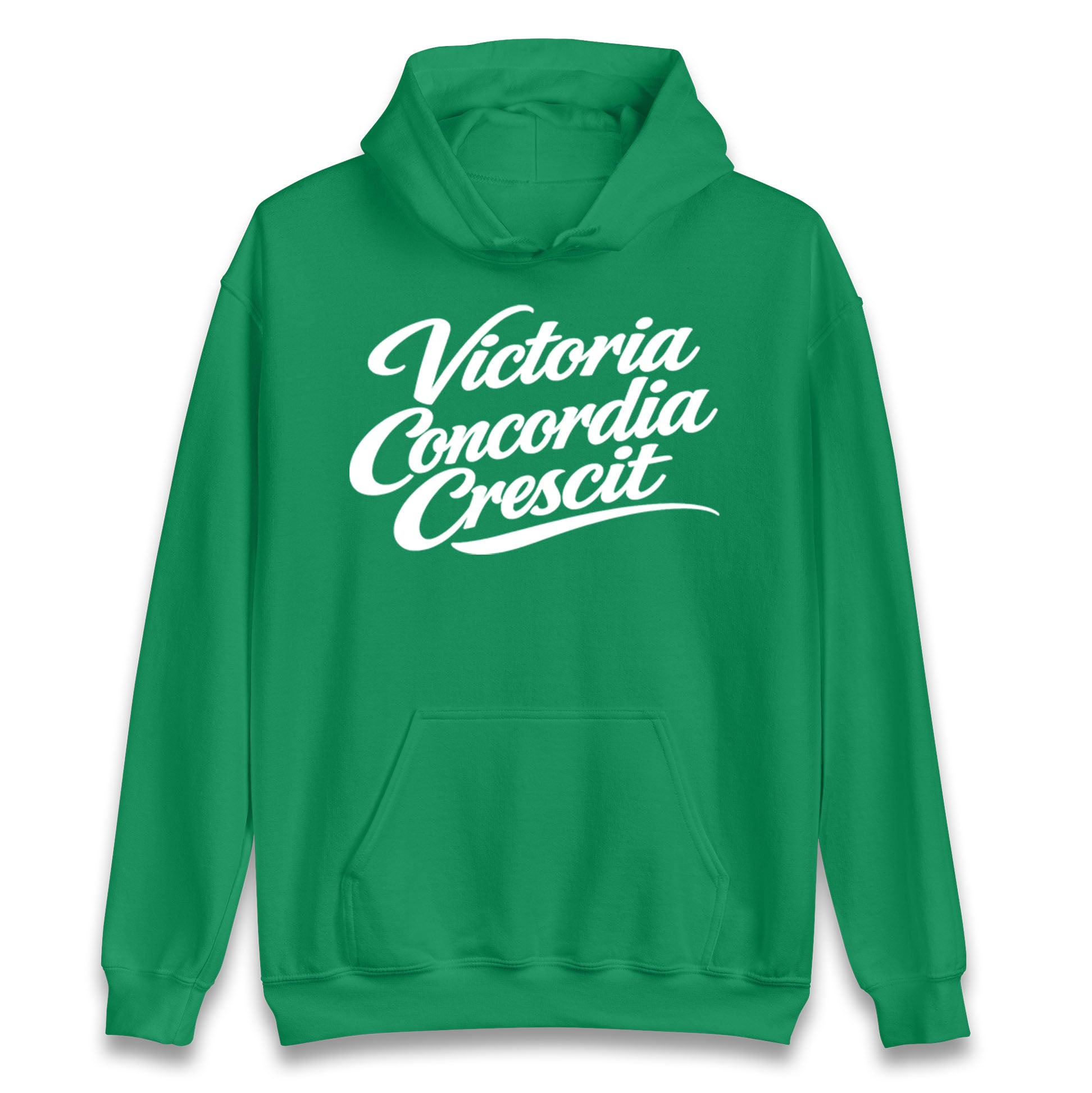 Arsenal Motto Hoodie