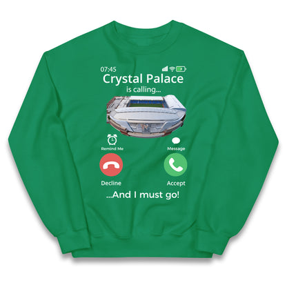 crystal palace jumper kids