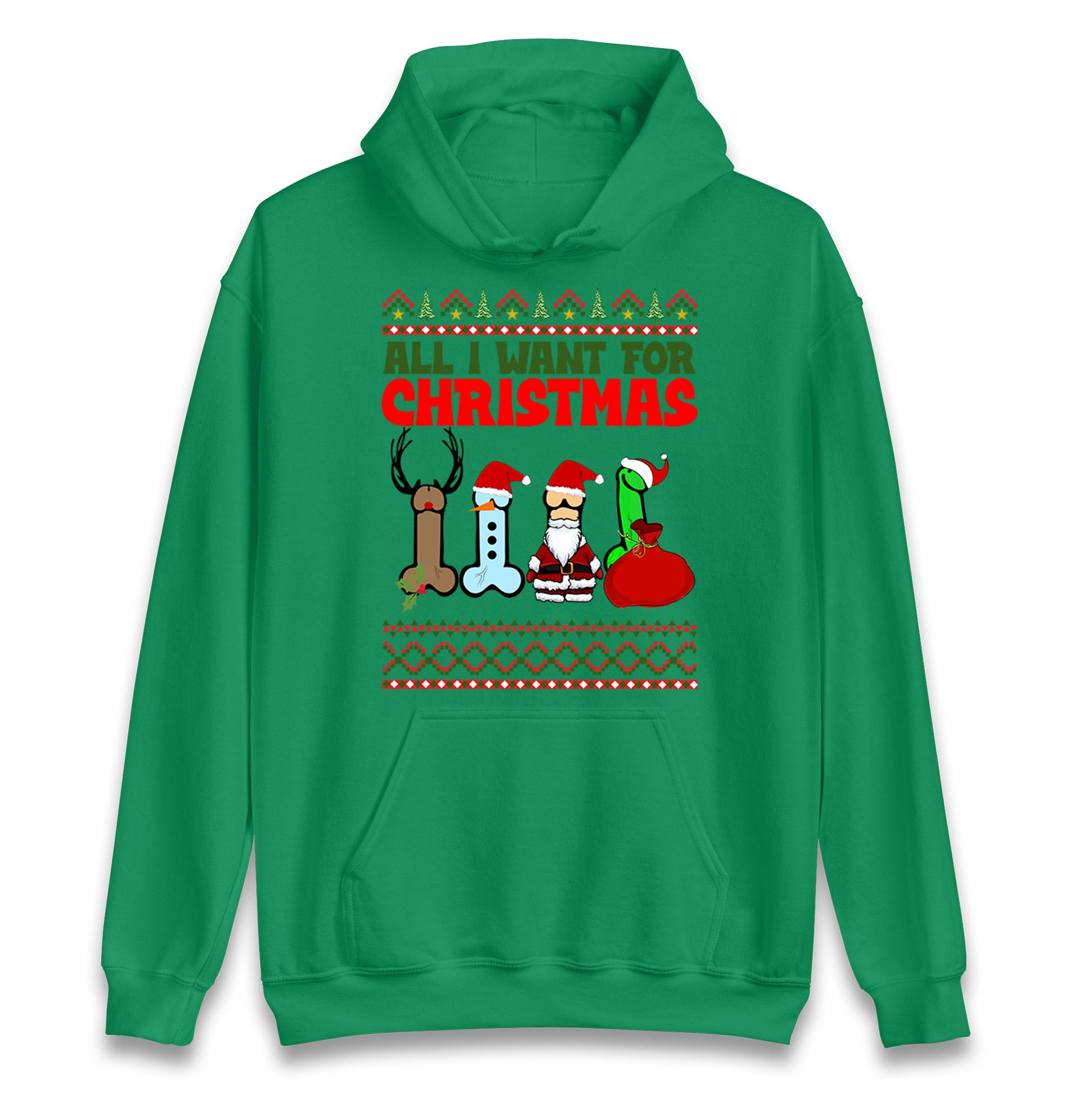 All I Want For Christmas Funny Hoodie