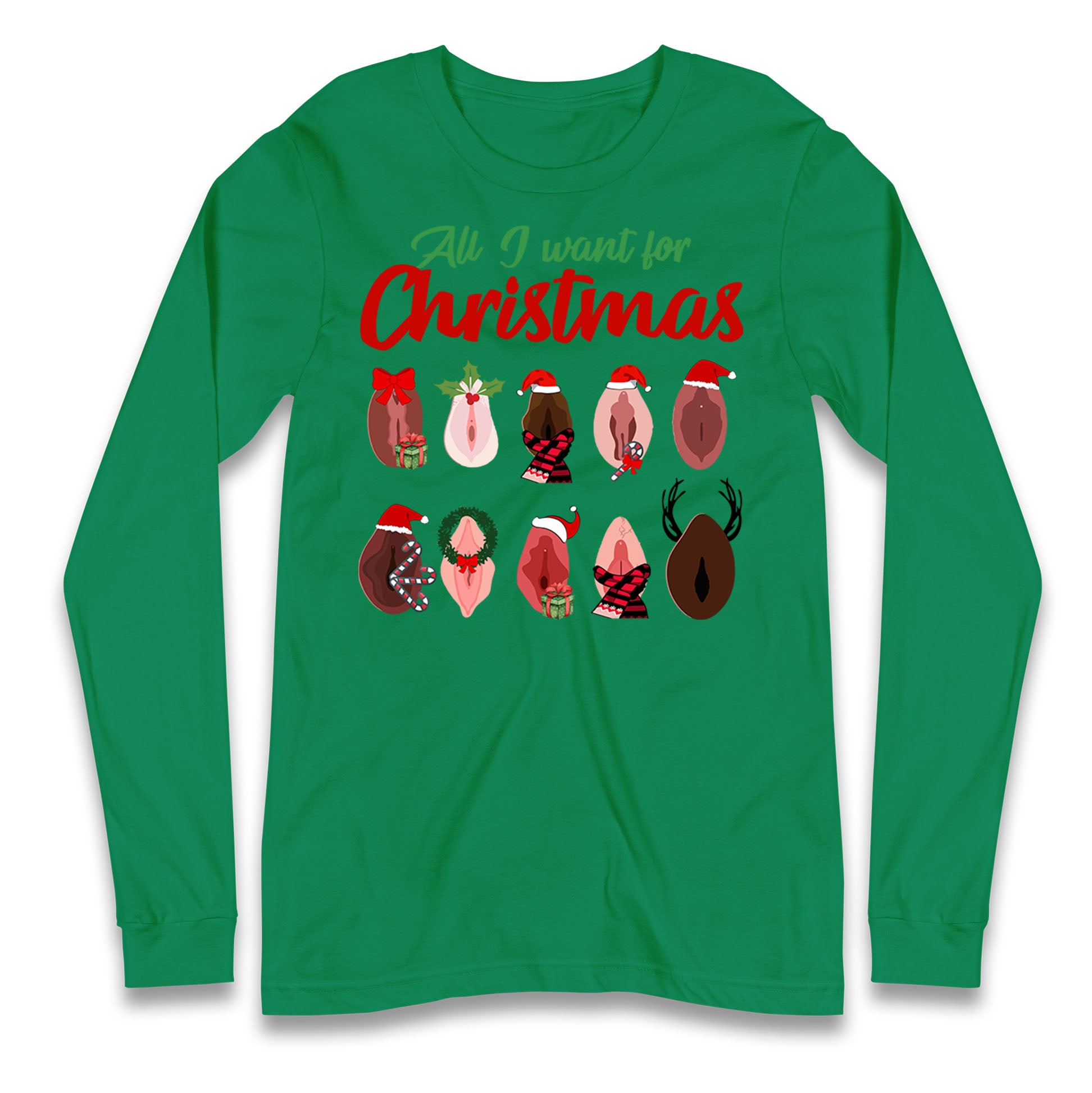 All I Want For Christmas Vagina Funny T Shirt