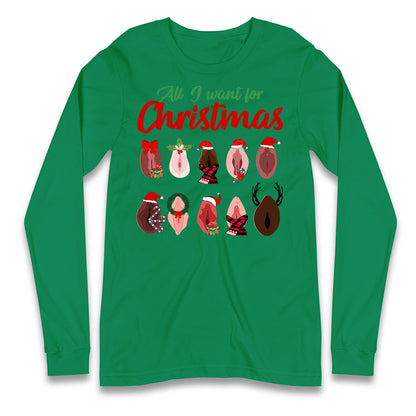 All I Want For Christmas Vagina Funny T Shirt
