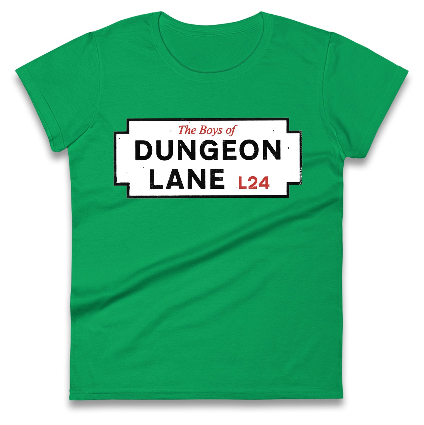 The Boys Of Dungeon Lane Ladies T Shirt