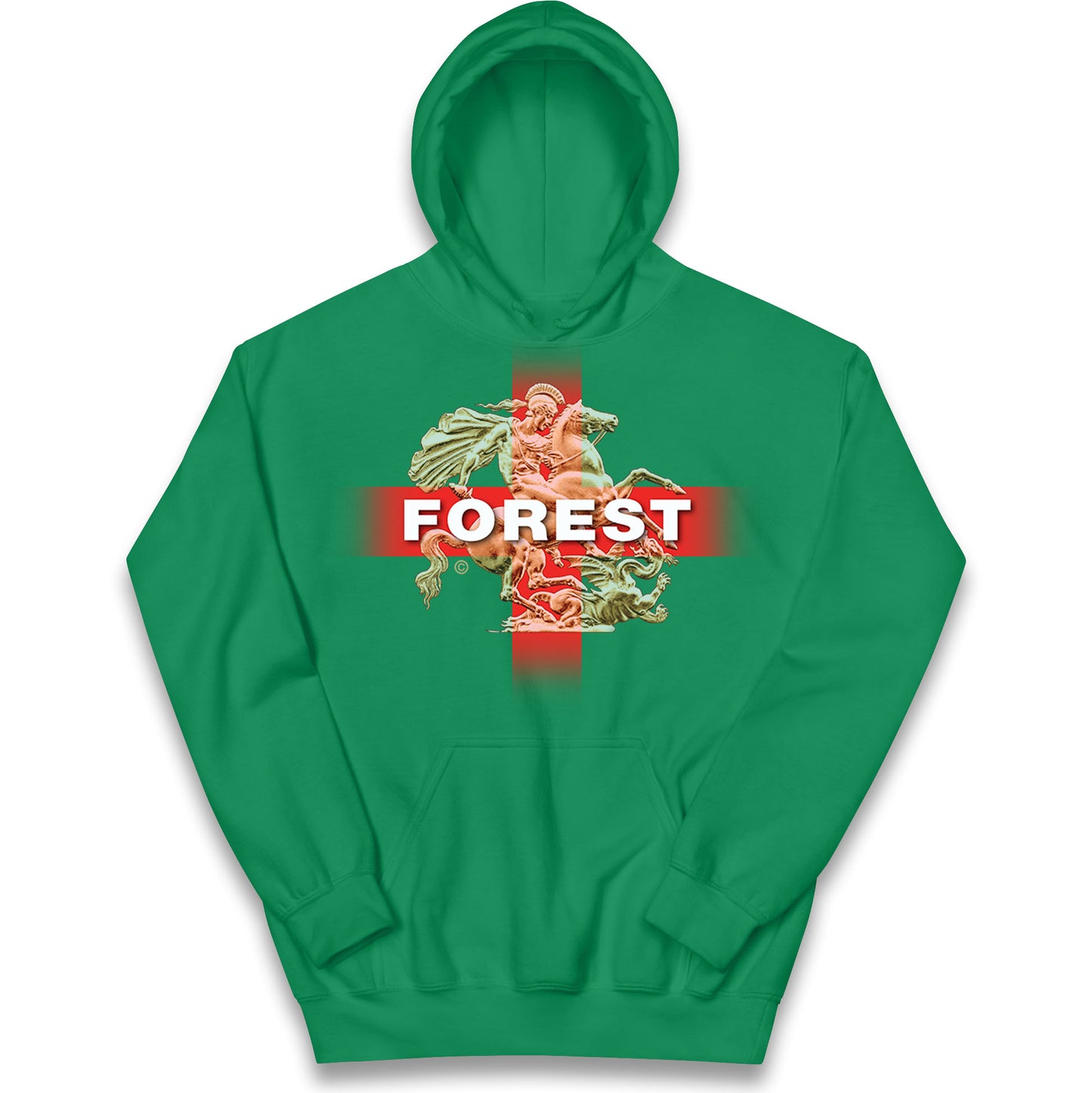 Forest St George & The Dragon Kids Hoodie