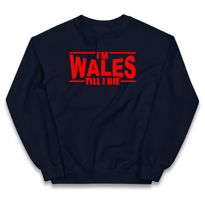 I'm Wales Till I Die Kids Jumper