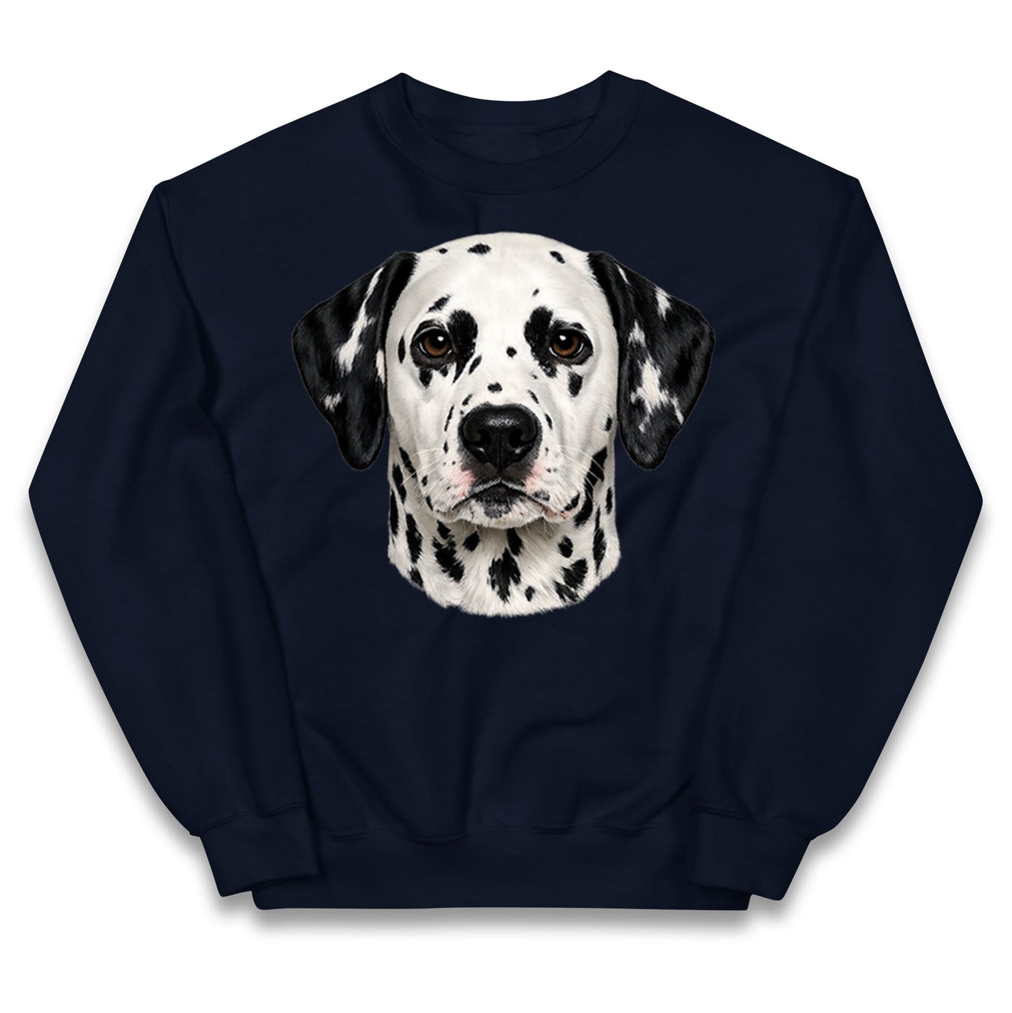 Dalmatian Dog Face Kids Jumper