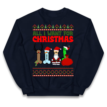 All I Want For Christmas Funny Jumper