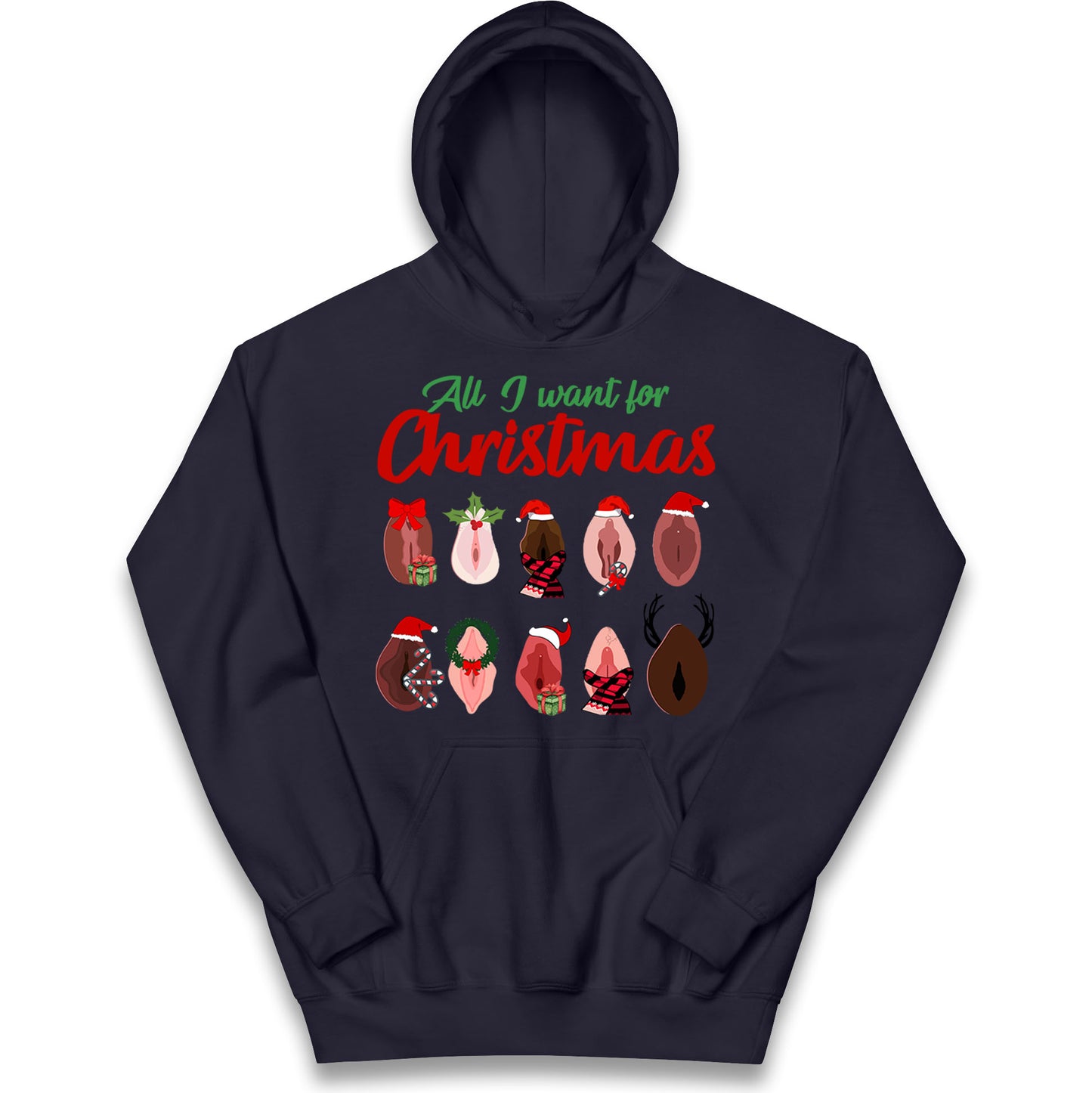All I Want For Christmas Vagina Funny Hoodie