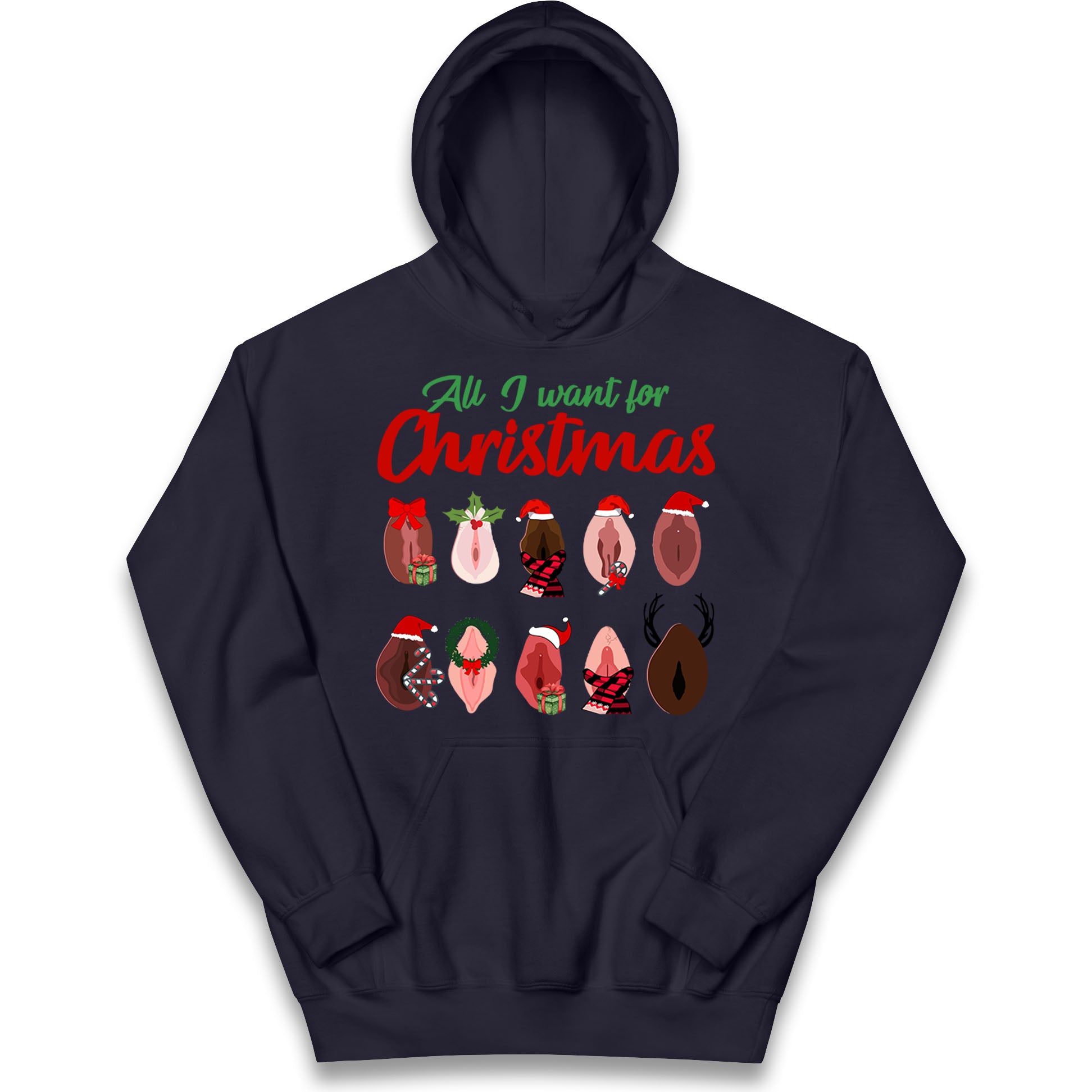 All I Want For Christmas Vagina Funny Hoodie