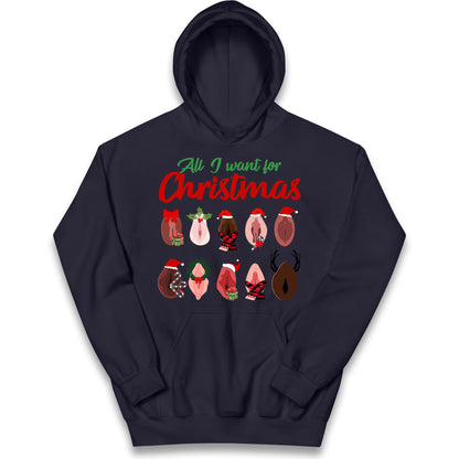 All I Want For Christmas Vagina Funny Hoodie