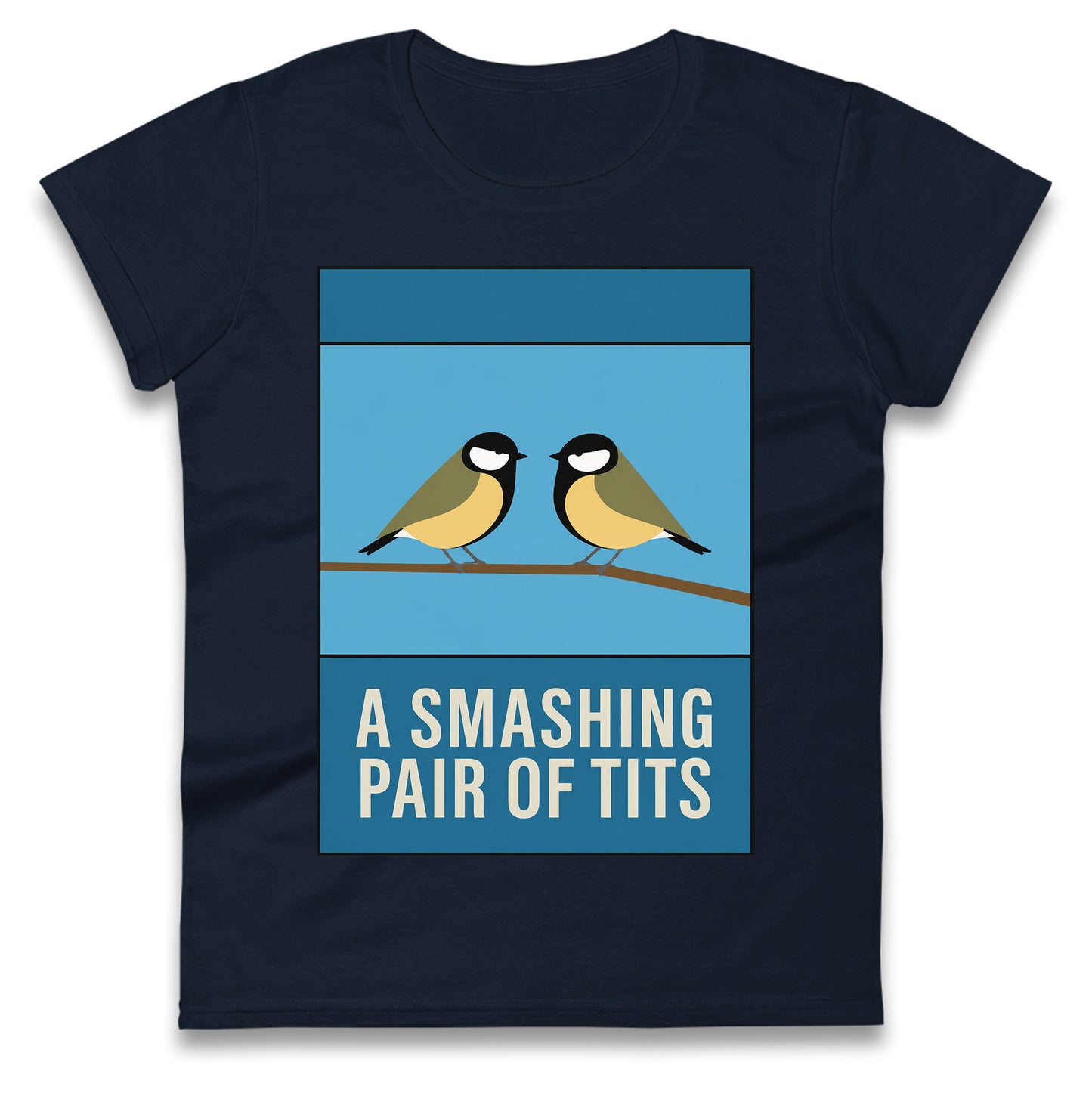 A Smashing Pair Of Tits Ladies T Shirt