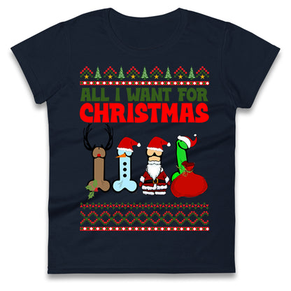 All I Want For Christmas Funny T Shirt