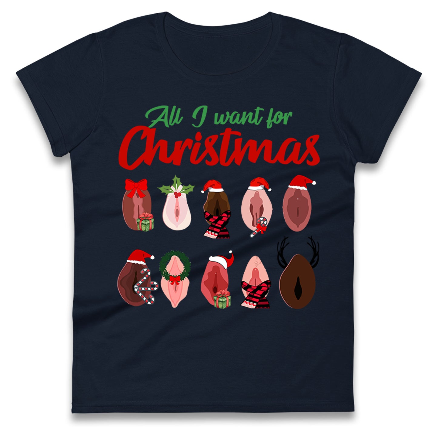 All I Want For Christmas Vagina Funny T Shirt