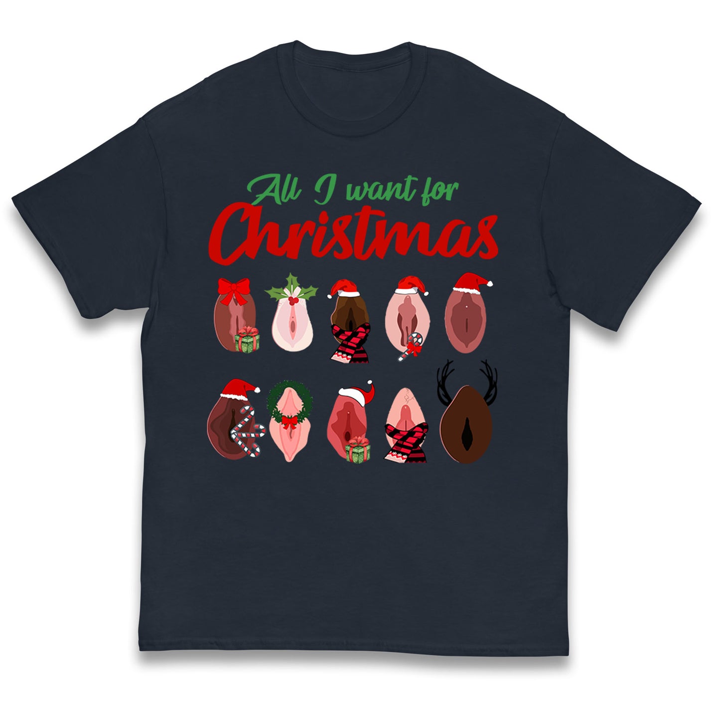 All I Want For Christmas Vagina Funny T Shirt