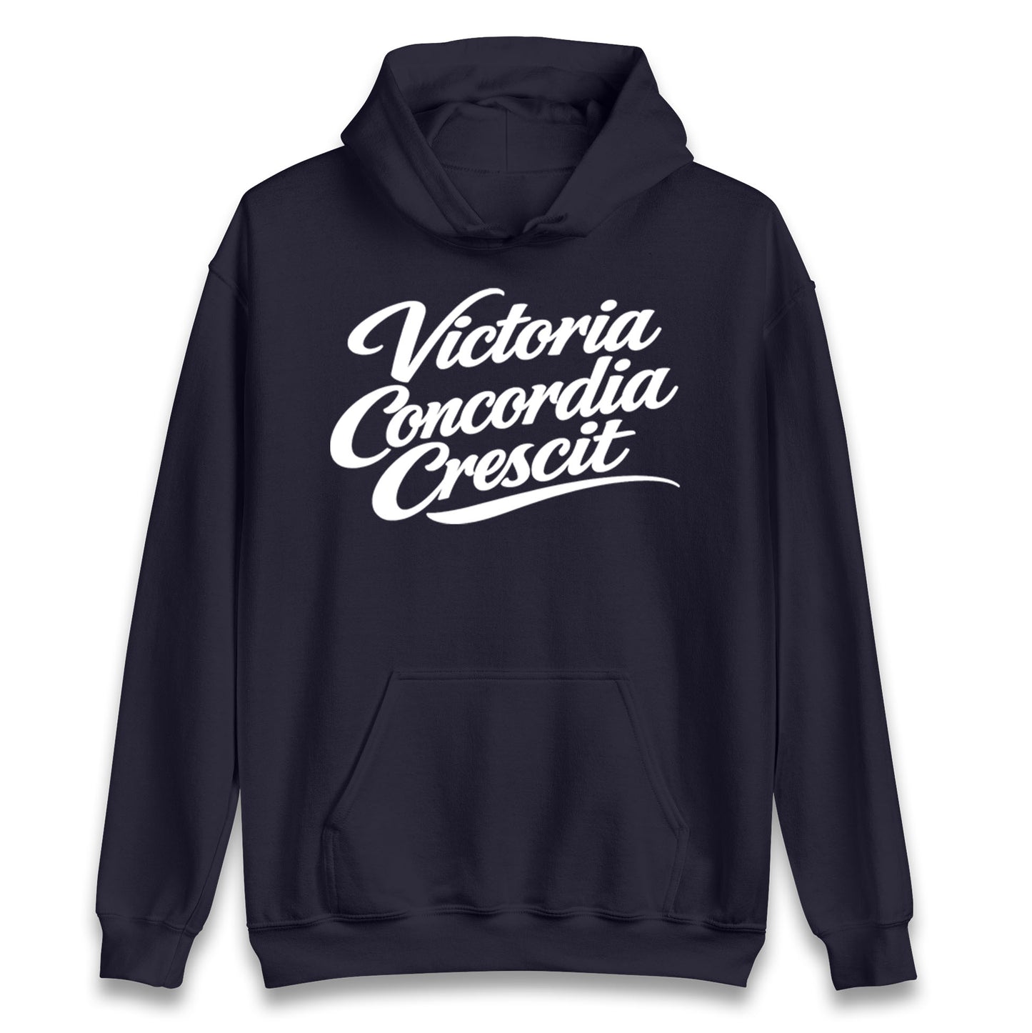 Arsenal Motto Hoodie