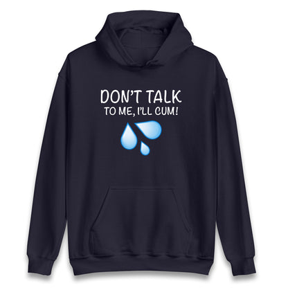 Don't Talk To Me I'll Cum Hoodie