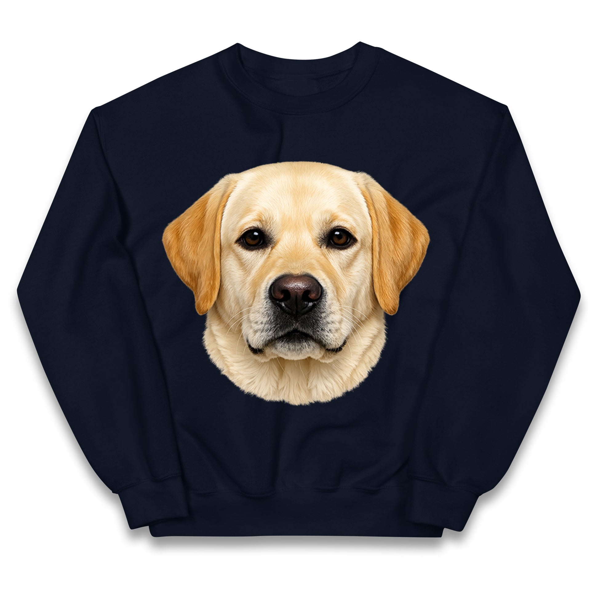 Labrador Dog Face Kids Jumper