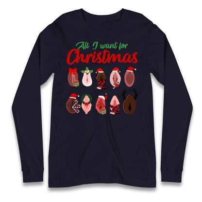 All I Want For Christmas Vagina Funny T Shirt