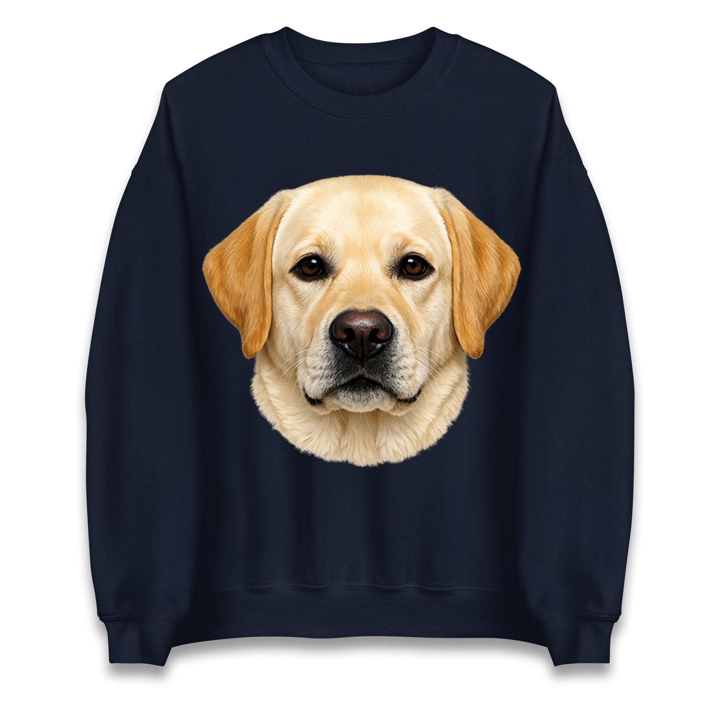 Labrador Dog Face Jumper 